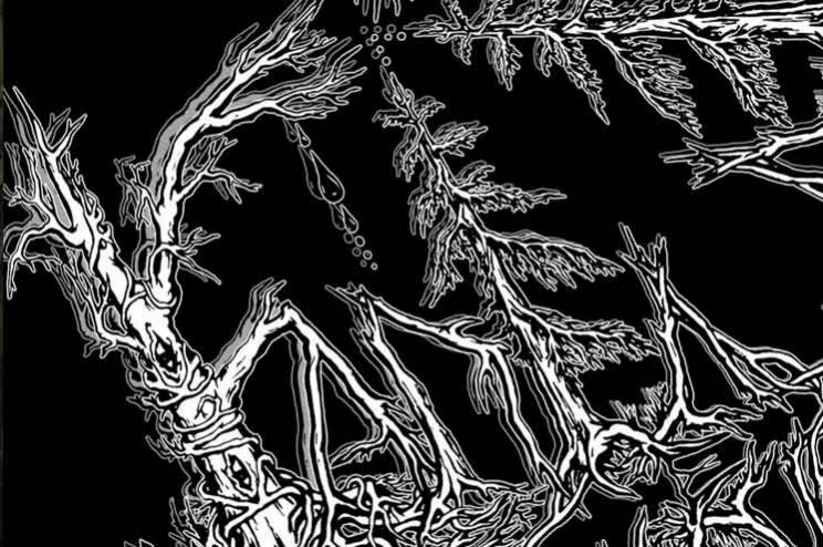 Емельянова Анна